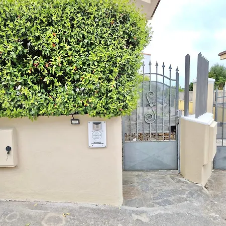 Grazia's Sassari